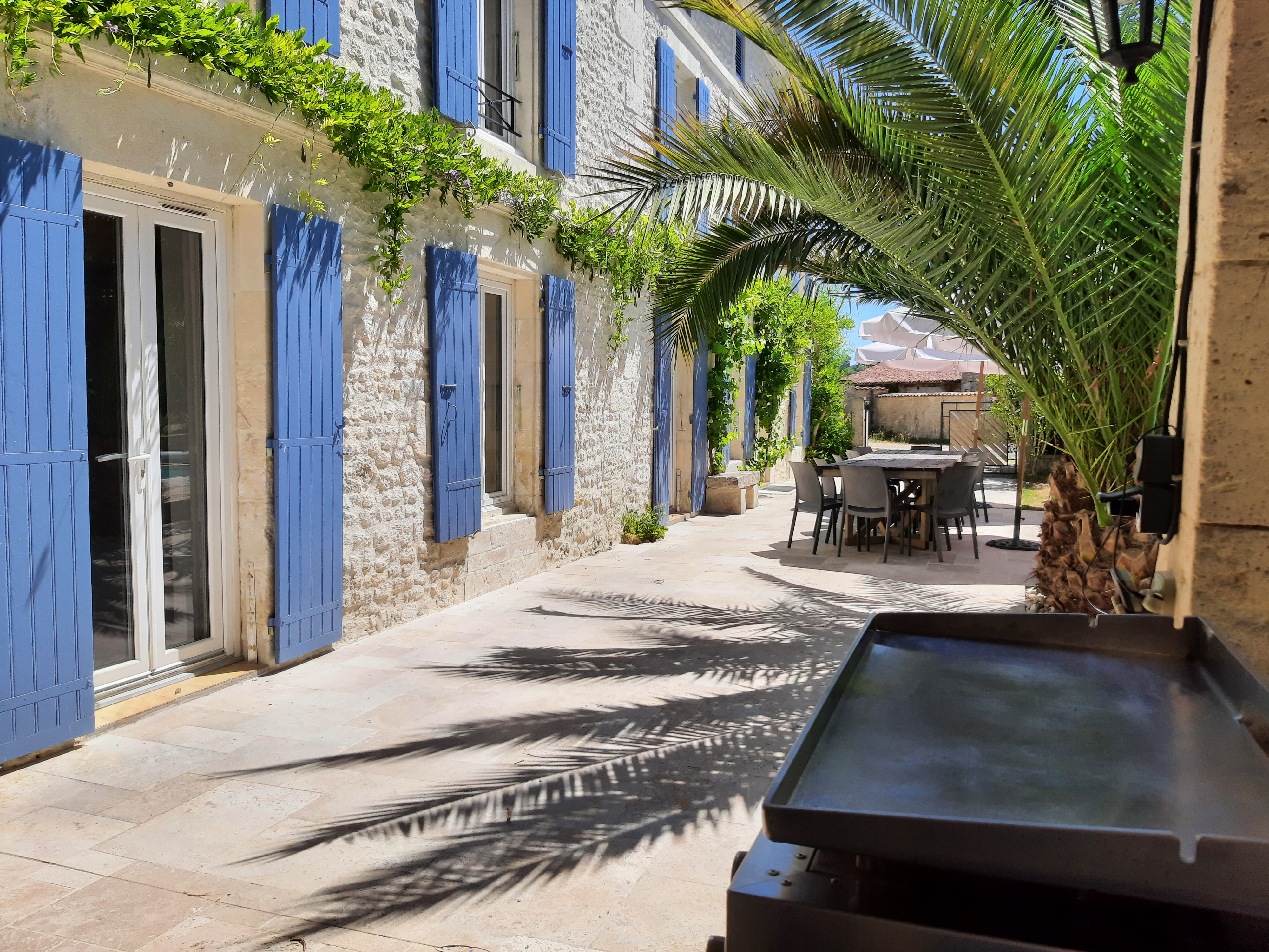 Jardin du domaine - photo 2